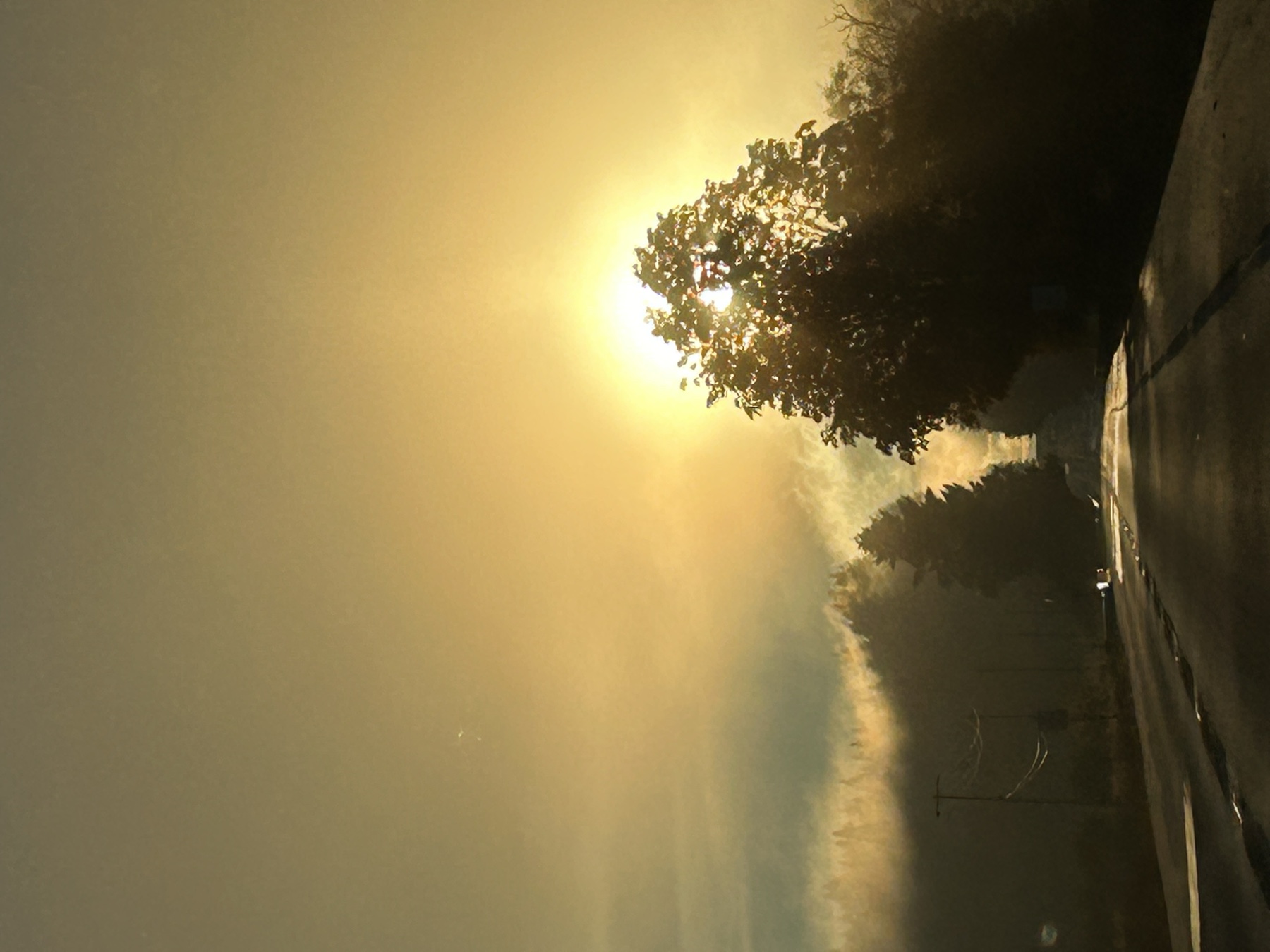 Golden Silence